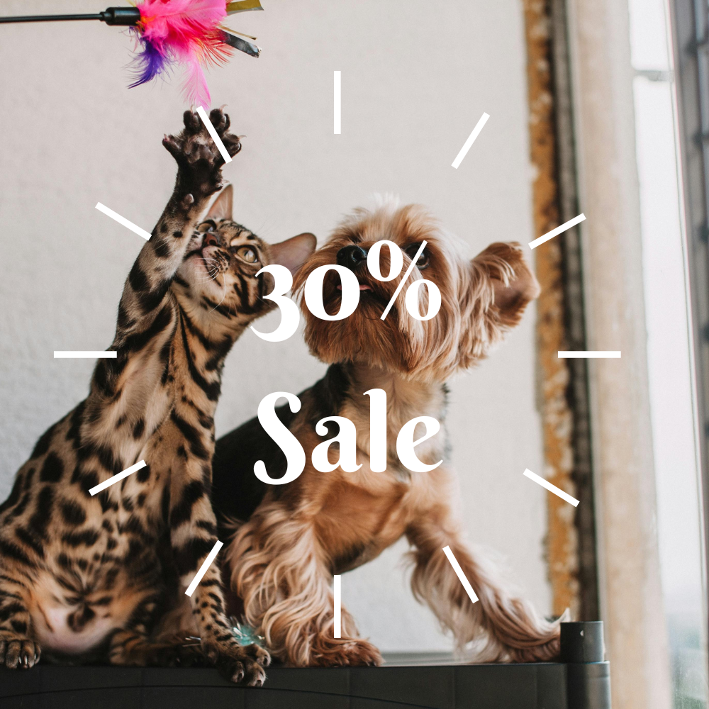 The Cozy Sale
