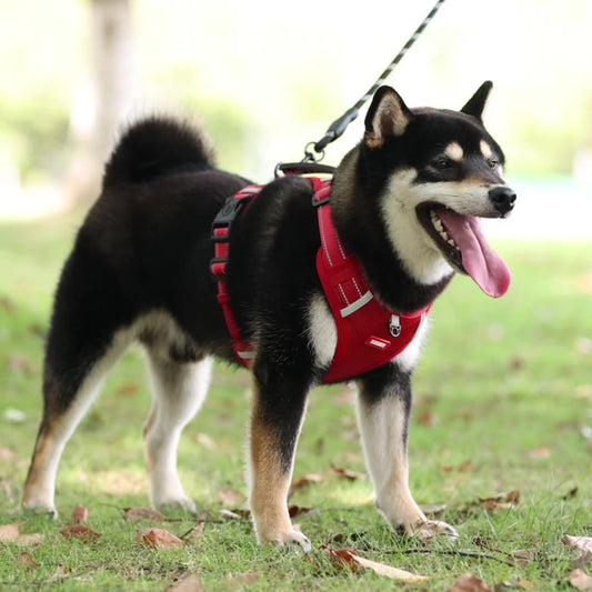 Pet Hand Holding Rope Vest-style Explosion-proof Reflective