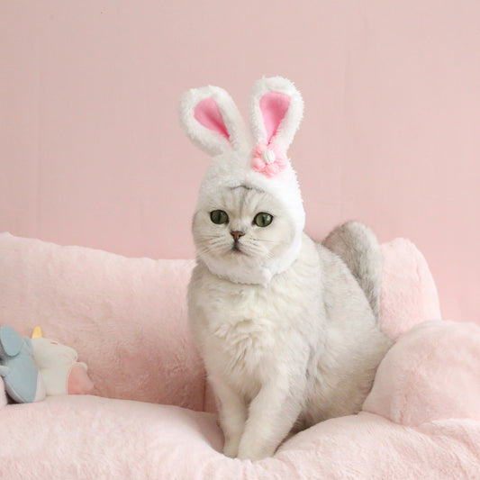 Cute Bunny Ear Pet Hat for Cats